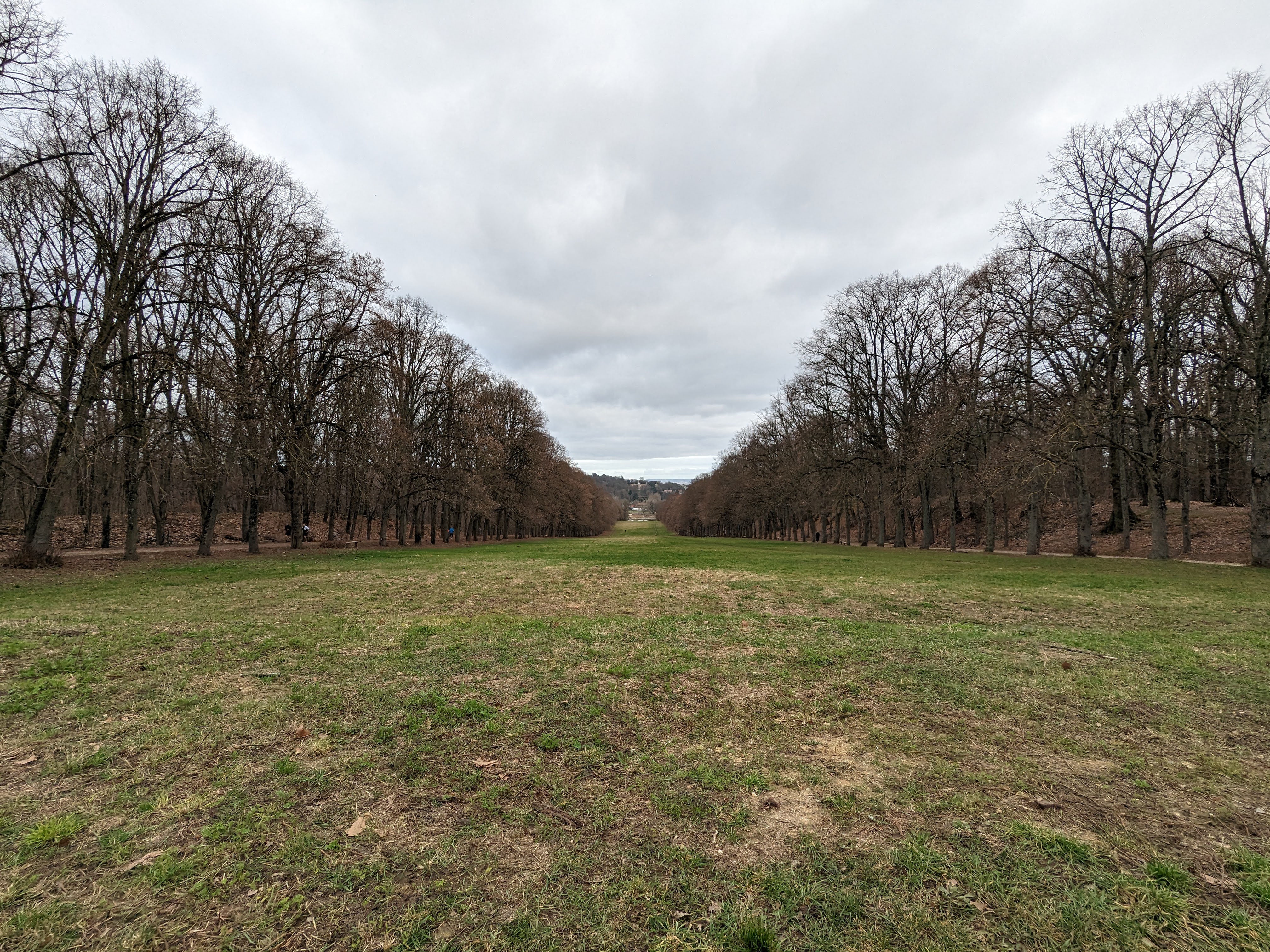 Forest Trail — Forêt domaniale de Meudon