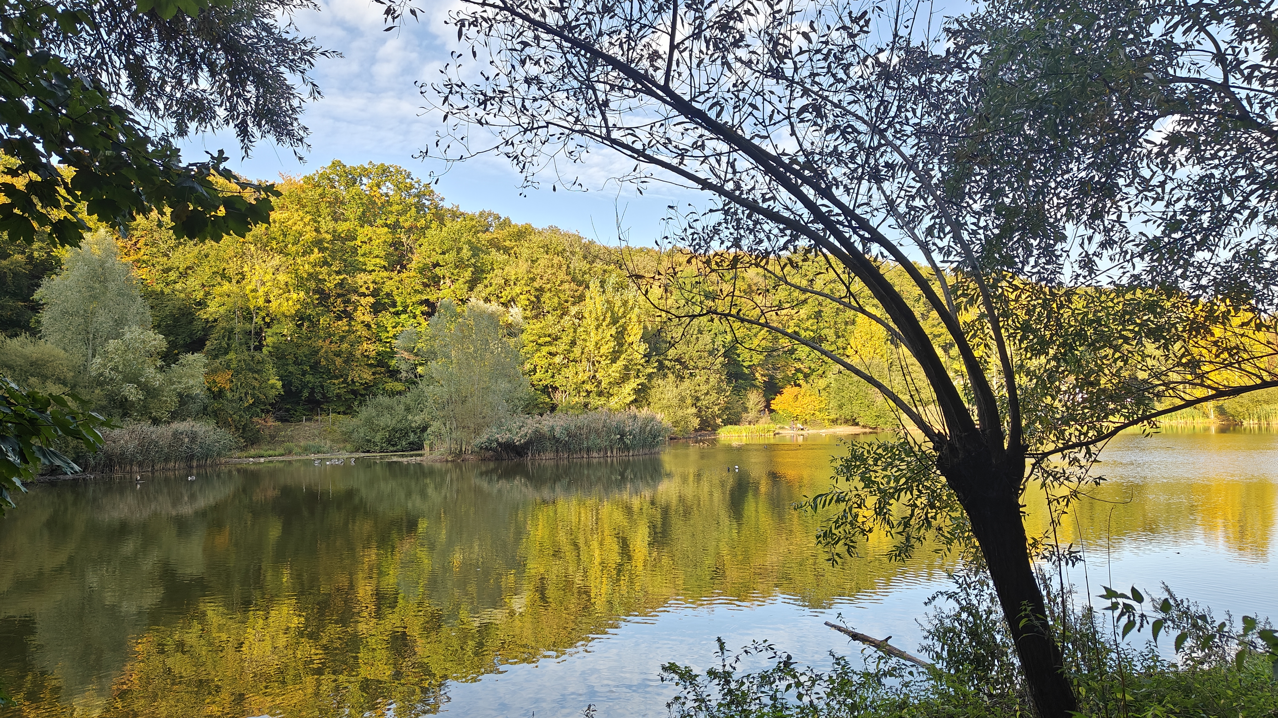 Belvédère Viewpoint — Forêt domaniale de Meudon