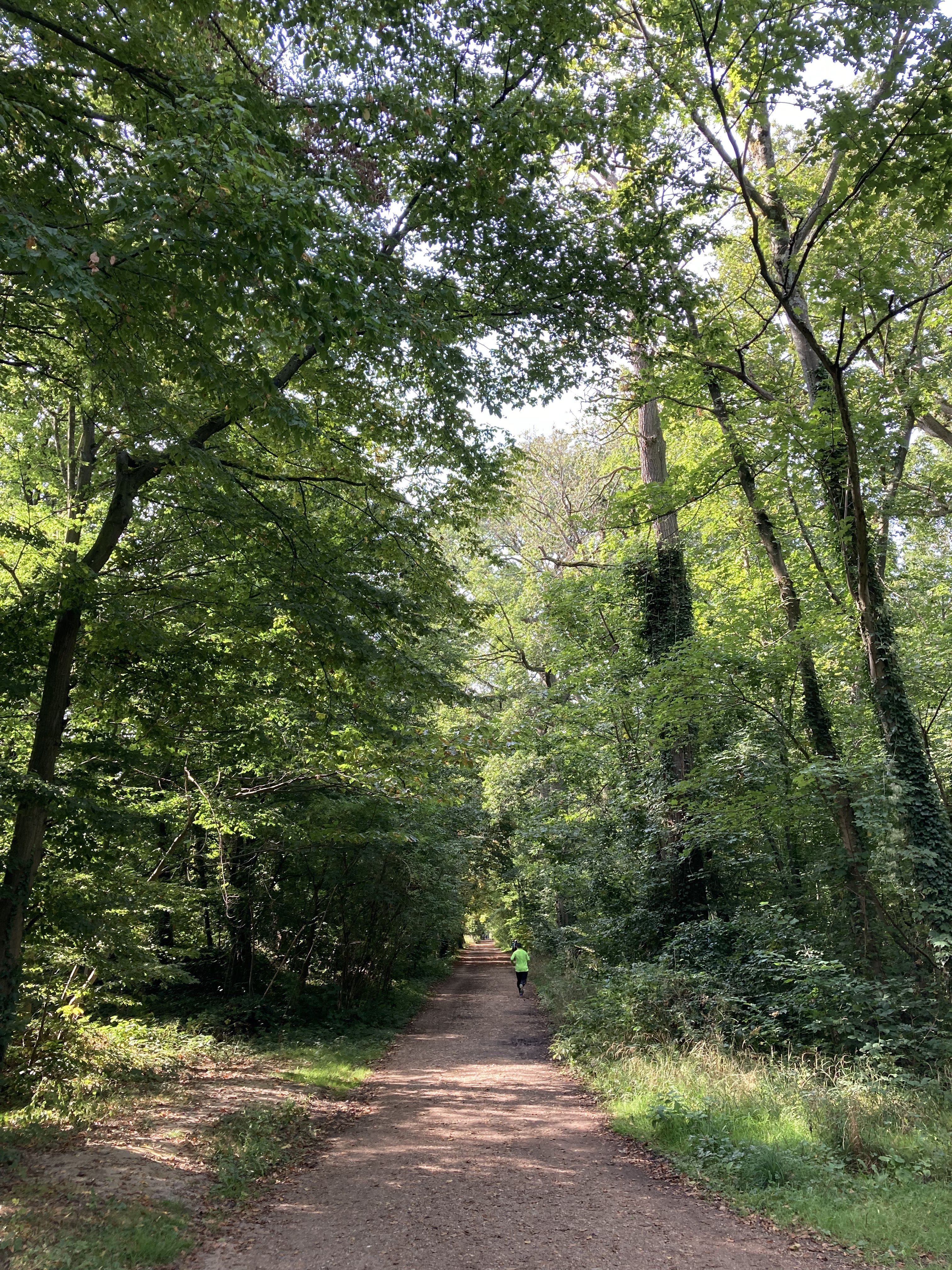 Wildlife — Forêt domaniale de Meudon
