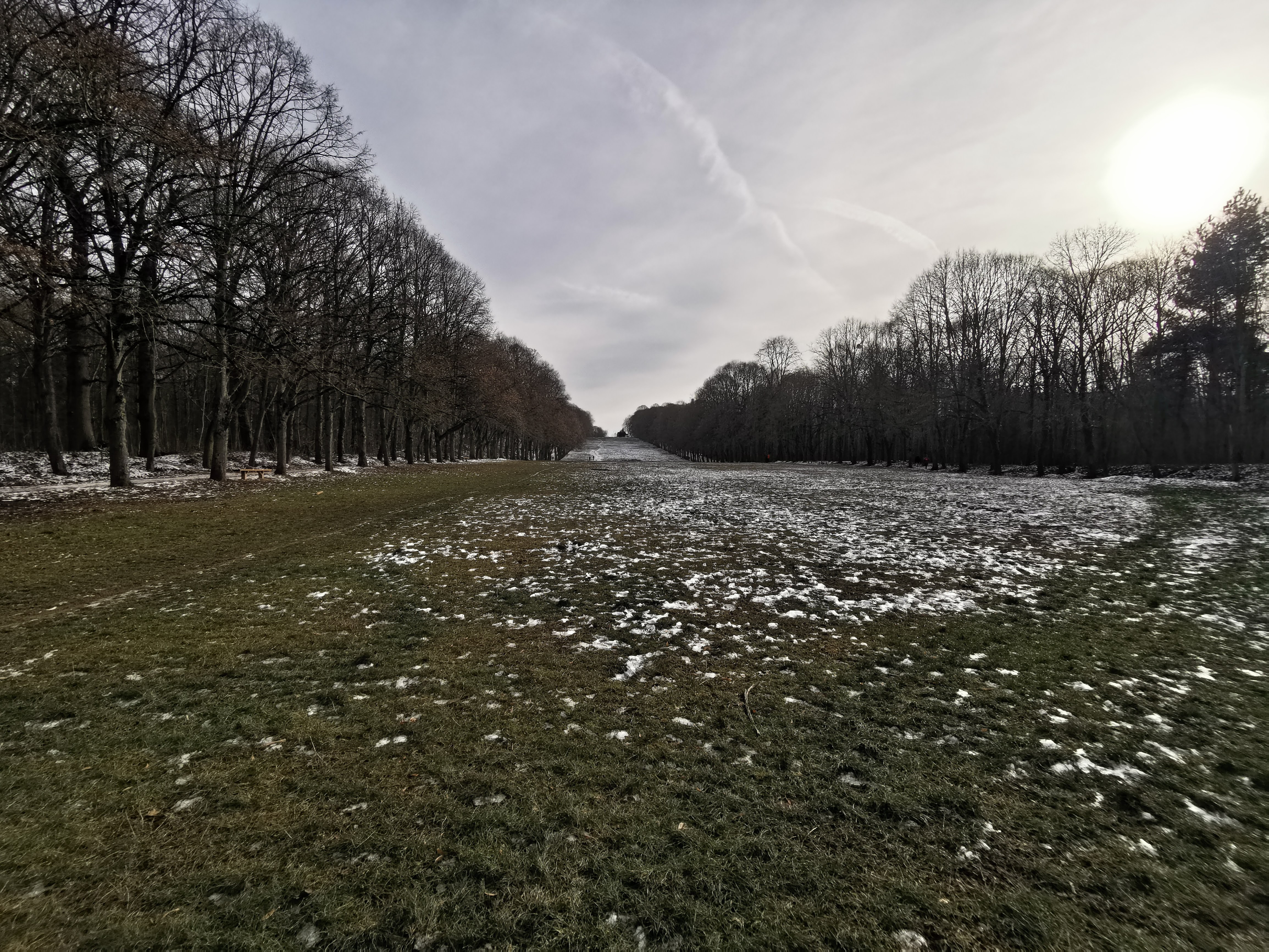 Wetland Ecosystem — Forêt domaniale de Meudon